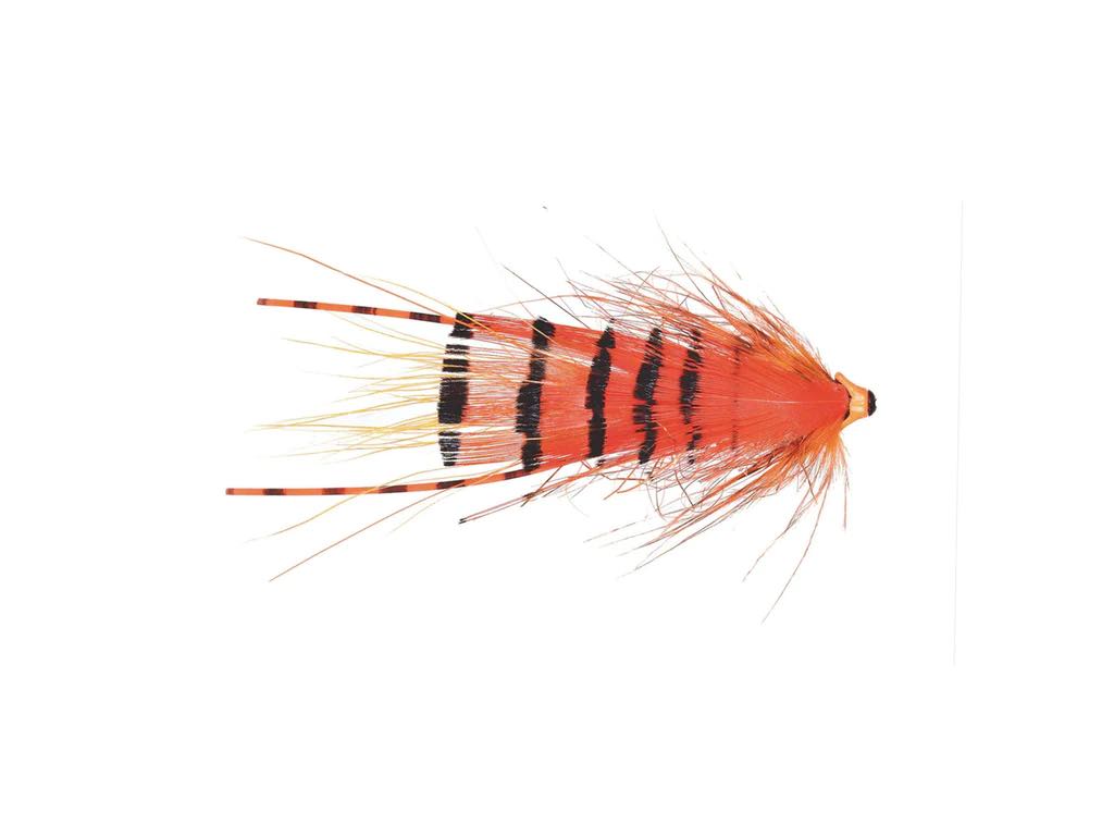 Micro G.P Special