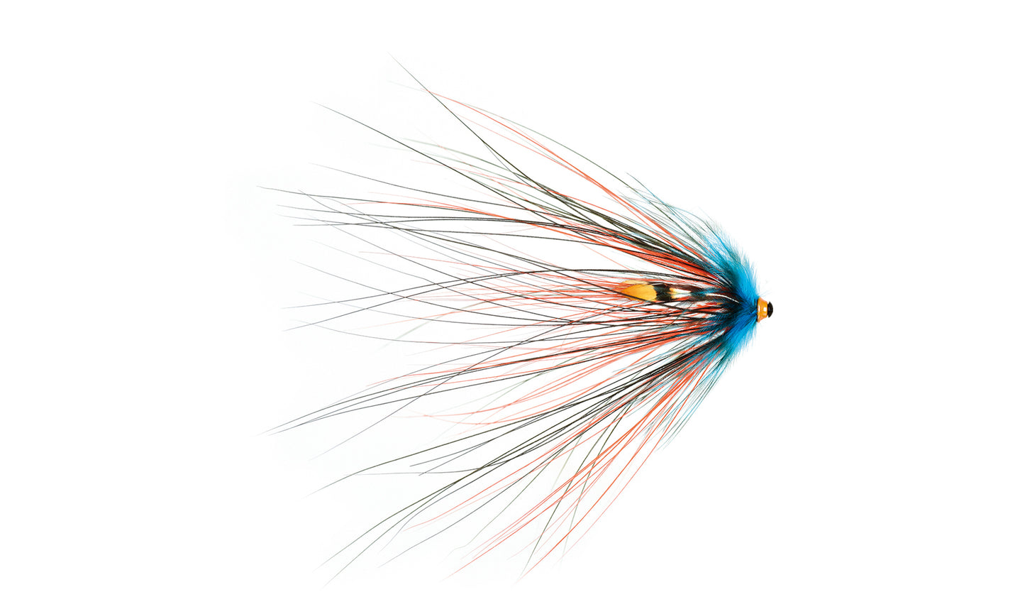 Thunder Spey