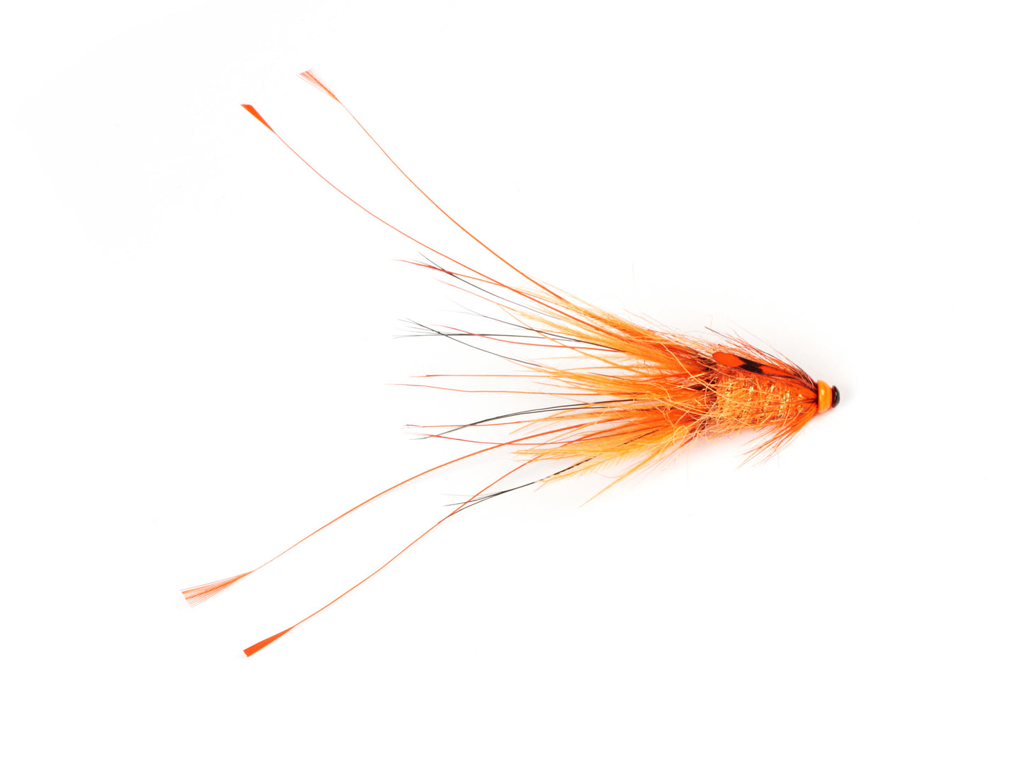 Burning - Pig Series