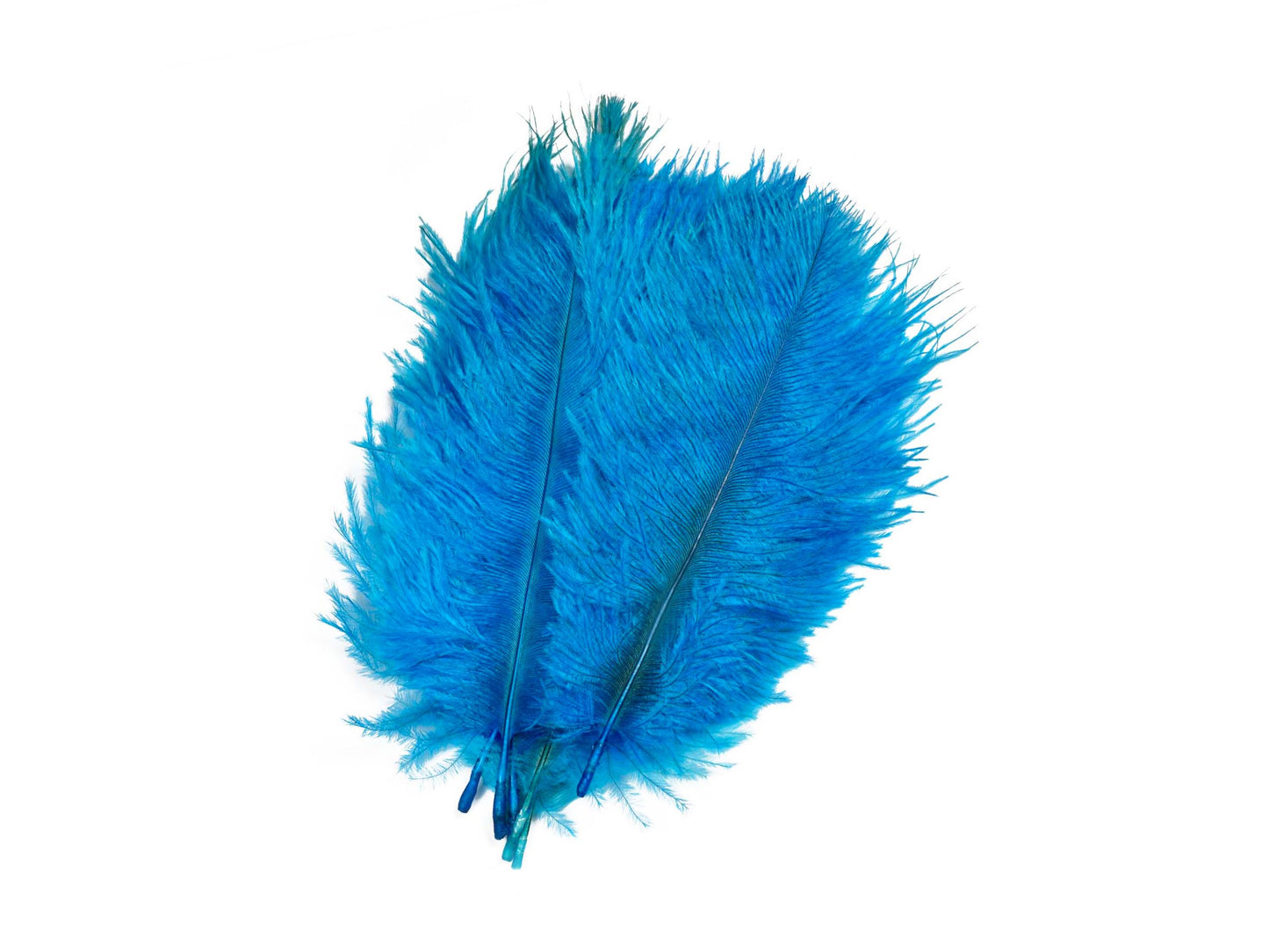 SNS Ostrich Hackles - Strutsefjær