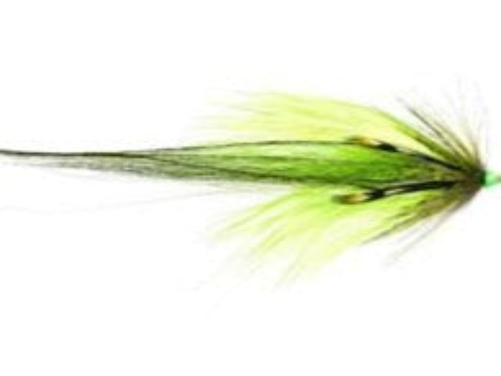 Greenlander Butterfly