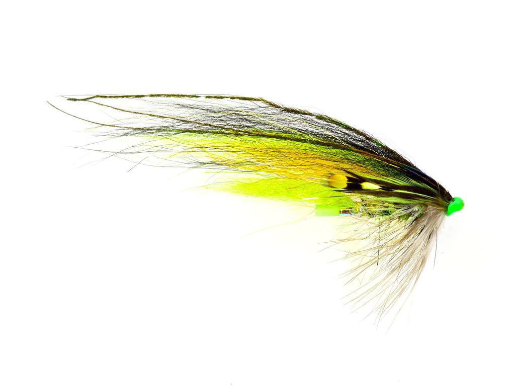 Greenlander